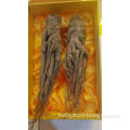 /msite/products/detail/productid/56948757/id/645581.html